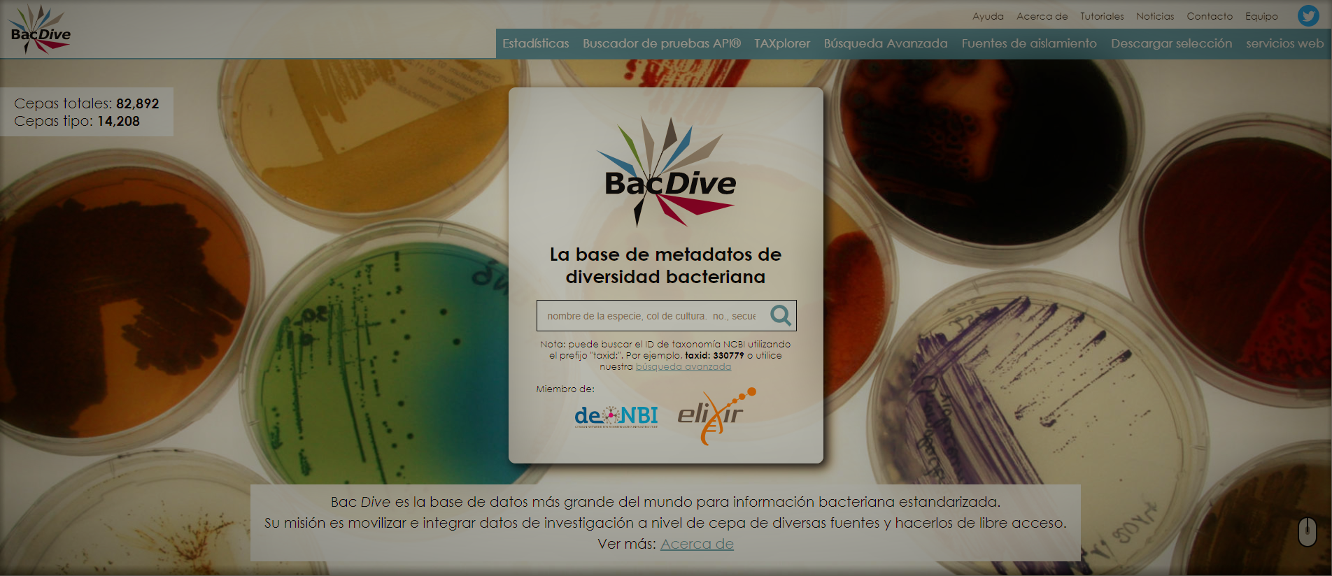 Base de metadatos bacterianos BacDive